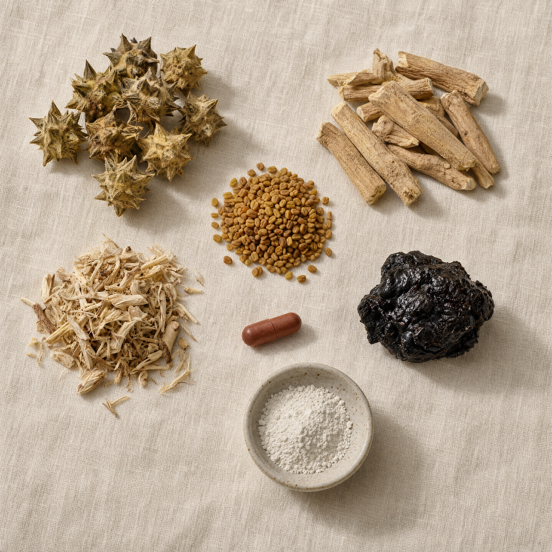 T1x raw botanical actives — tribulus, ashwagandha, fenugreek, nettle root, shilajit